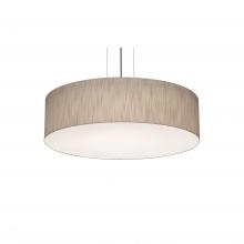  ANP1932MBSN-JT - Anton 19'' Med Base Pendant - SN and JT