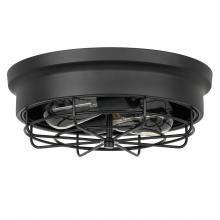  E30026-001 - Bethpage 2-Light Black Finish Flush Mount Not Ready yet