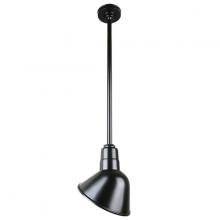  H-QSN18110-SA-91/QSN24ST3-91/QSNHSC-91 - 10" Ceiling Stem Light