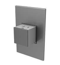  ARPTR201GM2 - adorne? 20A One-Gang Pop-Out Outlet, Magnesium