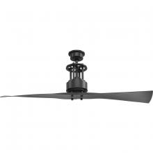  P2570-143 - Spades Collection 56" Two Blade Ceiling Fan