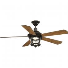  P2576-2030K - Smyrna Collection Indoor/Outdoor 52" Five Blade Ceiling Fan