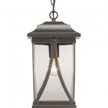  P550040-020 - Abbott Collection One-Light Hanging Lantern