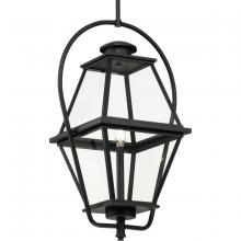  P550138-031 - Bradshaw Collection One-Light Textured Black Clear Glass Transitional Outdoor Hanging Lantern
