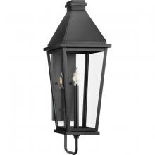  P560346-031 - Richmond Hill Collection One-Light Textured Black Clear Glass Modern Farmhouse Outdoor Large Wall La