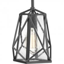  P5073-143 - Marque Collection One-Light Graphite Clear Seeded Glass Global Pendant Light