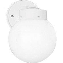  P5604-30 - One-Light 6" Glass Globe Outdoor Wall Lantern