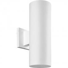  P5713-30 - 5" Non-Metallic Wall Mount Up/ Down Cylinder