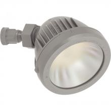  P6342-82-30K - LED Swivel Security/Flood Light Head