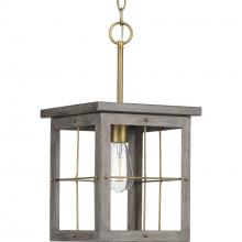  P500317-175 - Hedgerow Collection One-Light Distressed Brass and Aged Oak Farmhouse Style Hanging Mini-Pendant Lig