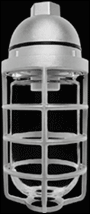  VP100DG-3/4 - Vaporproof, 100 Pendant 3/4 inch With Glass globe cast guard