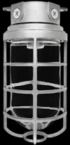  VX200DG - Vaporproof, 200 Ceiling 4 Inches Box 1/2 inch With Glass globe cast guard