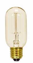  S2417 - 40 Watt T14 Incandescent; Clear; 3000 Average rated hours; 160 Lumens; Medium base; 120 Volt