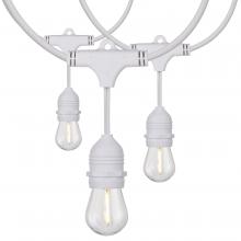  S8038 - 24Ft; LED String Light; Includes 12-S14 bulbs; 2200K; White Cord