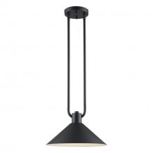  11761 BK - Roscoe 1 - Light Industrial Pendant