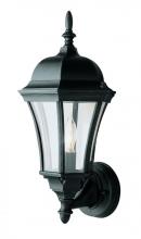  4502 BK - Burlington 1-Light Armed Metal and Glass Outdoor Wall Lantern