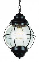  69906 BK - Catalina 19" Hanging Lantern Pendant Light