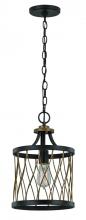  70690 ROB - 1LT MINI PENDANT-ROB