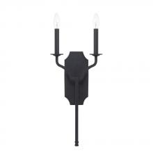  619821BI - 2 Light Sconce