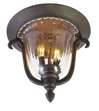  9017BB - Santa Barbara Outdoor 2 Light Flush Mount