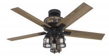  50169 - Hunter 52 inch Vista Natural Black Iron Ceiling Fan with LED Light Kit and Pull Chain