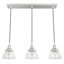  19282 - Hunter Cypress Grove Brushed Nickel with Clear Holophane Glass 3 Light Pendant Cluster Ceiling Light