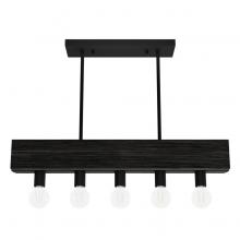  13055 - Hunter Donelson Natural Black Iron and Dark Ash 5 Light Chandelier Ceiling Light Fixture