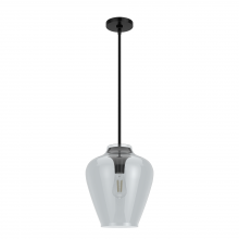  19111 - Hunter Vidria Matte Black with Smoked Glass 1 Light Pendant Ceiling Light Fixture