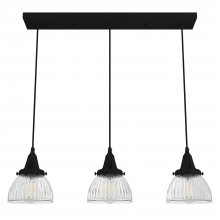  19141 - Hunter Cypress Grove Natural Black Iron with Clear Holophane Glass 3 Light Pendant Cluster Ceiling L