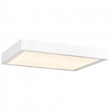  20075LEDD-WH/ACR - Outdoor LED Flush Mount