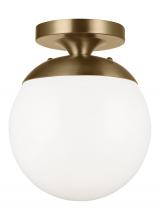  7518EN3-848 - Leo - Hanging Globe One Light Wall / Ceiling Semi-Flush Mount