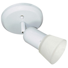  ICW5111 - Omni, Single Head Ceiling/Wall, Frosted Glass, 60W A15 or R16