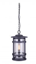  IOL343BK - Duffy 1 Light Outdoor Lantern, Black Finish