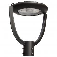  65/890 - 35 Watt Adjustable Post Top LED; CCT Selectable; 120-347 Volt