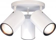  SF76/422 - 3 Light - R30 Straight Cylinder - White Finish