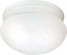  SF76/613 - 2 Light - 10" Flush with Alabaster Glass - Textured White Finish