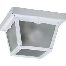  3080-7-6 - 7" Outdoor Cage/Wh