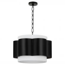  8229-4-59 - Belinder 4 Light Pendant, Matte Black