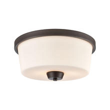  CN310231 - FLUSH MOUNT