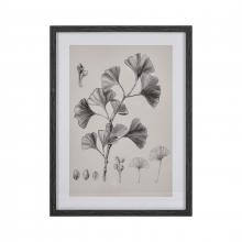  S0056-10637 - Ginkgo Botanic Framed Wall Art