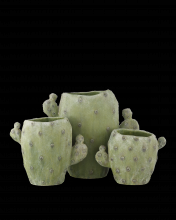  1200-0885 - Cactus Vase Set of 3